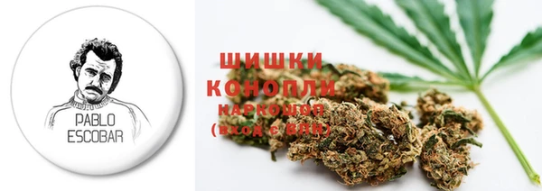 винт Абаза