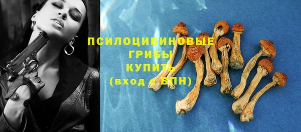 эйфоретик Абинск