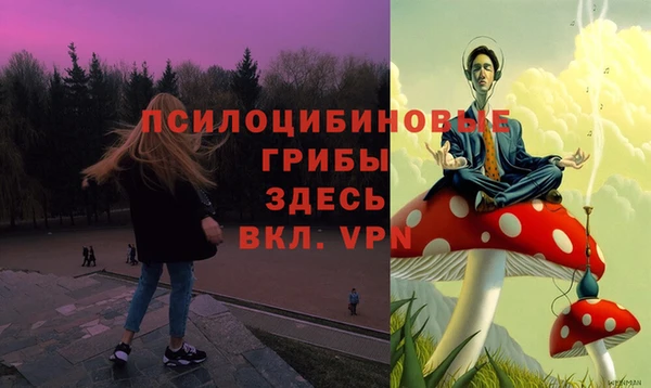 гидропоника Навашино